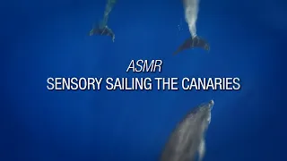 Winded Voyage Xtra | ASMR Pure Sensory Sailing Around The Canary Islands