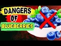 Download Lagu AVOID BLUEBERRY if you have THESE 5 health problems!