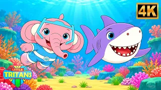Փոքրիկ  շնաձուկ 🦈 | Baby Shark-ի պարը | Մանկական երգեր