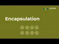 Encapsulation ICSE Computer Applications Java BlueJ