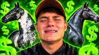 VENDI quase TODOS os Meus CAVALOS