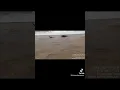 Download Lagu Kapal tenggelam di perairan air Hitam Laut, Tanjab Timur Jambi.