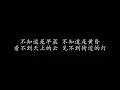 痴痴的等 蔡琴 (歌词版)