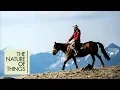 Equus Story of the Horse New Series Coming to CBC Docs