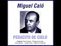 Jamás Retornarás (feat. Raúl Berón) - Miguel Caló