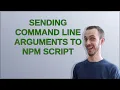 Sending command line arguments to npm script