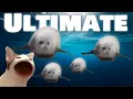Bouncing Seals ULTIMATE 2022