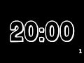 20 Minute Interval Timer