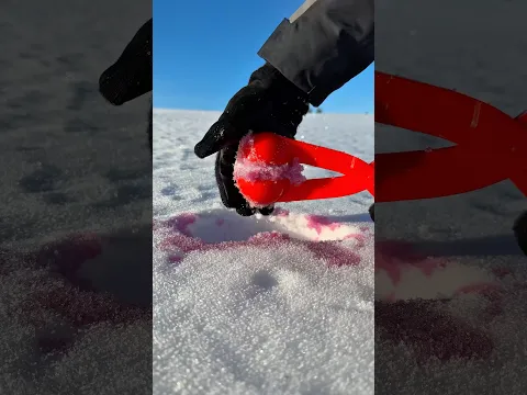 THIS is how you make a PERFECT snowball this WINTER or SUMMER #shorts