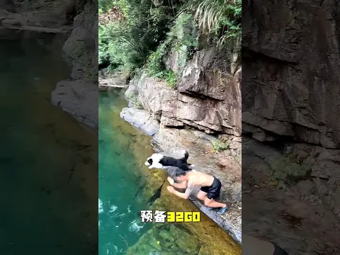 Racer Dog 😧😧😧 Part-172