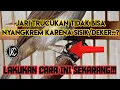 Download Lagu SISIK / DEKER BIKIN JARI KAKI TRUCUK TIDAK BISA NYENGKREM ? SEGERA LAKUKAN CARA INI!!!