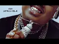 Naza - Impeccable Visualizer