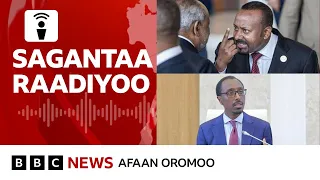 Itoophiyaan Dorgommii UAE Fi Sa Udii Gidduutti Rakkoo Seenaa Jirtii BBC News Afaan Oromoo 