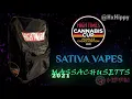 Cannabis Cup Massachusetts Sativa Vape Entries