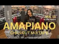 Download Lagu Beby Febiola | Amapiano Chillout Mixtape Vibes | Vol 13