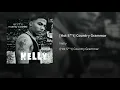 [Hot S**t] Country Grammar