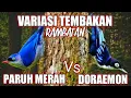Download Lagu Variasi Tembakan Rambatan Paruh Merah Vs Rambatan Doraemon Sangat Cocok Buat Masteran Murai Batu