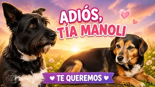 La despedida más bonita de la tía Manoli 💕