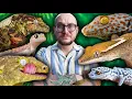You Haven t Heard Of These Geckos But You ll Want Them All