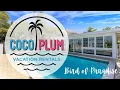 Marathon Florida Vacation Rentals - Bird of Paradise Coco Plum Vacation Rentals