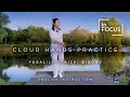 Cloud Hands Tai Chi Tutorial with English Instruction Tai Chi Qigong In Focus