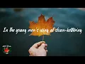 Vampire Weekend - A-Punk (Lyric video)