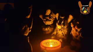 Two Tale Bunny Rework