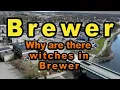 2024 Guide to Brewer What is going on in Brewer Maine 60