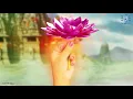 Download Lagu MahaLakshmi Whatsapp Status