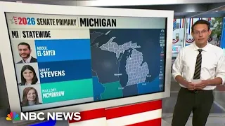 Steve Kornacki s the key counties ahead of Michigan s high-stakes Democratic Senate primary