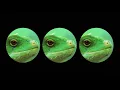 Whitestone - Day By Day (Official Visualizer)