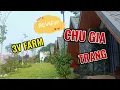 3v Farm Chu Gia Trang review chi tiet homestay Ba Vi sieu rong