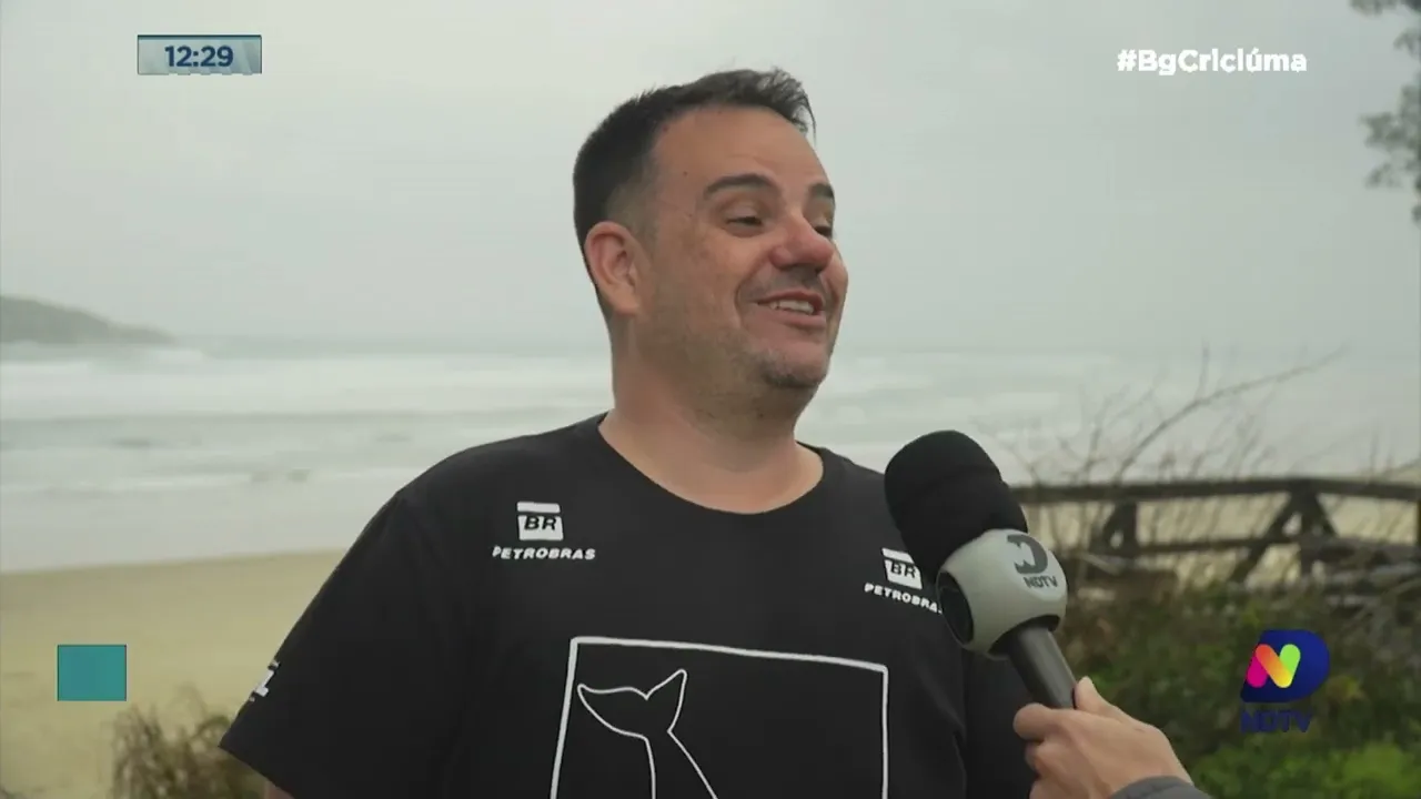 Baleia Franca: sobrevoo pelo sul do país confirma a preferência dos mamiferos pelo litoral de SC