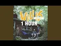 Download Lagu WILLIS - I Think I Like When It Rains [1 HOUR]