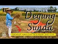 Download Lagu PAGI YANG SEJUK DI TASIKMALAYA - DEGUNG SUNDA 2024 ENAK DIDENGAR