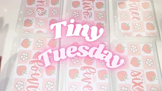 Tiny Tuesday Saving Challenge