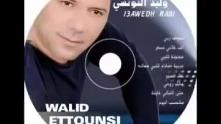 مالك روحي   وليد التونسي دندنها