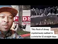 Animals are seen walking in circles around the world God says this about it