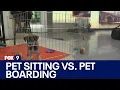 Pet sitting vs pet boarding facilities Advice from the animal humane society