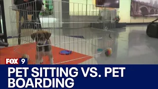 Pet sitting vs pet boarding facilities Advice from the animal humane society