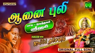 aanaipuli adivarum srihari ayyappa darisanam 7