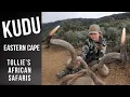 Download Lagu Free Range Kudu Hunting | Eastern Cape | Tollie’s African Safaris | Mountains