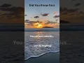 Download Lagu #music #money #youtubeshorts #investment #wealth #nature #investing #shorts #growth #life #quotes