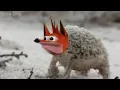 Angry Woah