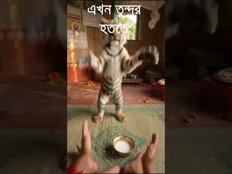 বাঘের বাচ্চা যখন নাচতে শুরু করে! 🐯💃 #shorts #funnyvideo