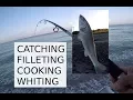 Lagu Beach Fishing Catching Whiting