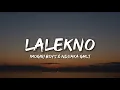 Download Lagu LALEKNO - IMOGIRI BOYS \u0026 NDXAKA GLMT (New Version)