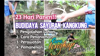 Download LENGKAP | Cara Menanam Kangkung dari Awal Sampai Panen MP3