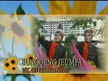 Lagu Bungoeng jeumpa - cut keumala hayati