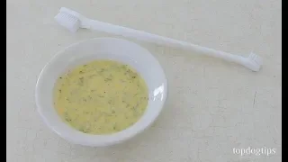 How to Make Dog Toothpaste - Easy Natural DIY Dog Toothpaste Guide